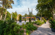 Foto af en hyggelig feriepark med glamping-overnatning, omgivet af grønne planter og udendørs terrasse.