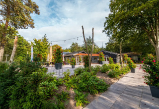 Photo of a holiday park offering glamping accommodations, surrounded by lush greenery and outdoor seating.