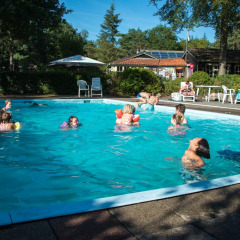 Niños y adultos disfrutan en la piscina de un parque vacacional con alojamientos de glamping al aire libre.