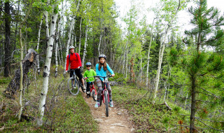 Een gezin fietst over een bospad in een vakantiepark met glamping-accommodaties.