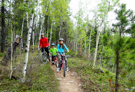 Una familia anda en bicicleta por un sendero boscoso en un parque vacacional con glamping.