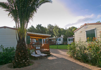 Photo of a cabin with wooden deck, palm tree, and lounge chairs in a lush, sunny campground setting.