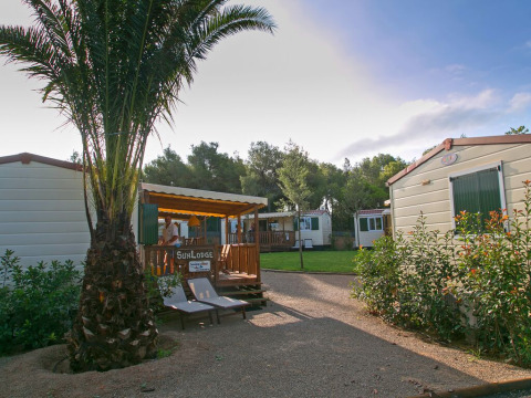 Photo of a cabin with wooden deck, palm tree, and lounge chairs in a lush, sunny campground setting.