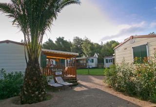 Photo of a cabin with wooden deck, palm tree, and lounge chairs in a lush, sunny campground setting.