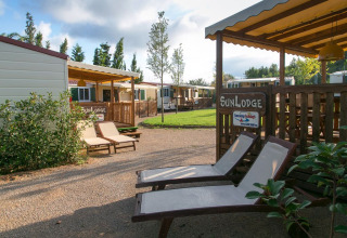 Bungalow soleggiati con lettini e prato nell’area SunLodge, ideali per il relax all’aperto.
