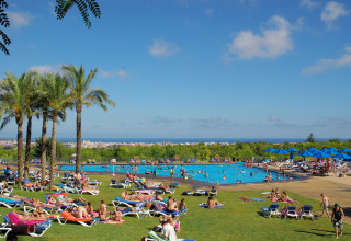 Struttura glamping con palme, bagnanti, grande piscina e vista panoramica su città e mare in lontananza.