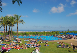 Alojamiento glamping con palmeras, bañistas, gran piscina y vistas panorámicas de la ciudad y el mar.