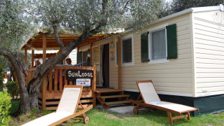 Solrige liggestole foran SunLodge Maple, en mobilhytte med grønne skodder og træterrasse under træer.