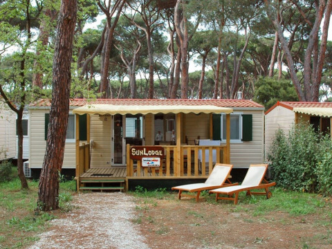 Solrig SunLodge Redwood lodge i en skov med to liggestole foran og træer omkring for afslapning.