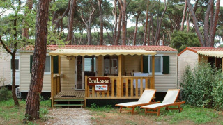Cabaña SunLodge Redwood soleada en un bosque, con dos tumbonas al frente y pinos altos rodeando.