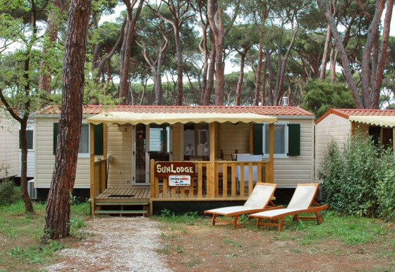 Solrig SunLodge Redwood lodge i en skov med to liggestole foran og træer omkring for afslapning.