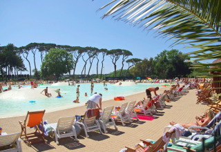Udendørs swimmingpool ved en lodge med folk, der solbader og svømmer, omgivet af træer og liggestole.
