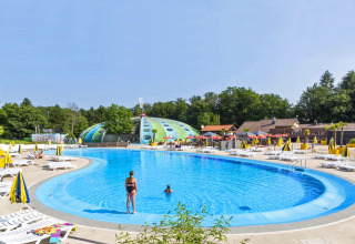 Swimmingpool med liggestole og farverige parasoller ved et safari telt feriested omkranset af træer.