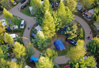 Vista aérea de un camping con coches, tiendas y una tienda safari rodeado de frondosos árboles verdes.