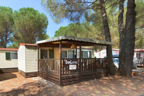 Foto de SunLodge Redwood, cabaña con porche cubierto rodeada de árboles, día soleado en el bosque
