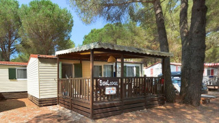 Foto van SunLodge Redwood met overdekte veranda, omgeven door bomen in een zonnige bosrijke omgeving