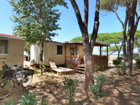 Houten lodges en fietsen onder pijnbomen bij SunLodge Redwood, Camping Village Baia Blu La Tortuga in Italië.