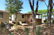 Houten lodges en fietsen onder pijnbomen bij SunLodge Redwood, Camping Village Baia Blu La Tortuga in Italië.