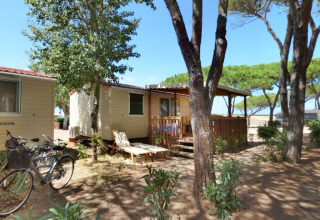 Houten lodges en fietsen onder pijnbomen bij SunLodge Redwood, Camping Village Baia Blu La Tortuga in Italië.