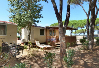 Wooden lodges and bicycles under pine trees at SunLodge Redwood, Camping Village Baia Blu La Tortuga in Italy.