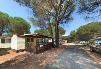 SunLodge Redwood au Camping Village Baia Blu La Tortuga en Italie, entouré de pins et de voitures stationnées.