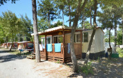 Cabaña SunLodge Redwood en Camping Village Mare Pineta, Italia, rodeada de árboles y naturaleza.