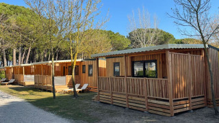 Houten chalets bij SunLodge Sabai op Camping Union Lido Mare in Italië, omgeven door bomen en natuur.