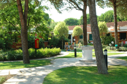 Zona de lodge tranquila con árboles verdes, senderos y asientos al aire libre frente a bungalows.