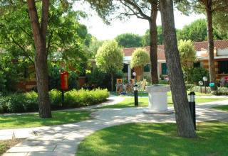 Zona de lodge tranquila con árboles verdes, senderos y asientos al aire libre frente a bungalows.