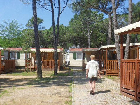 Persoon wandelt op een pad tussen boomrijke lodges in een vakantieresort onder een blauwe lucht.