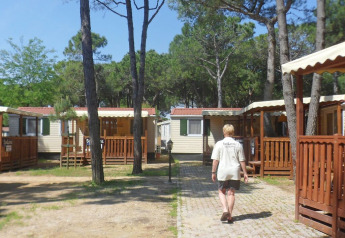 Person går ad en sti mellem træomkransede lodges på et feriested under en klar blå himmel.