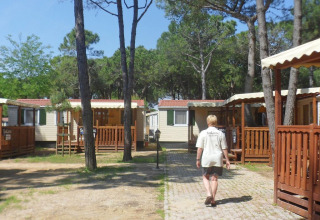 Une personne marche sur un sentier entre des lodges entourés d'arbres dans un complexe sous ciel bleu.