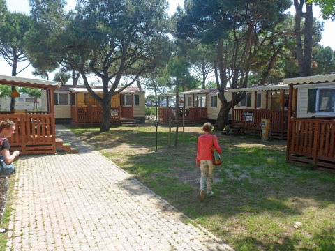Vista exterior de SunLodge Redwood en Camping Village Cavallino, Italia, con cabañas y huéspedes bajo los árboles.