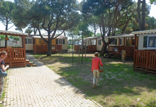 Vista exterior de SunLodge Redwood en Camping Village Cavallino, Italia, con cabañas y huéspedes bajo los árboles.
