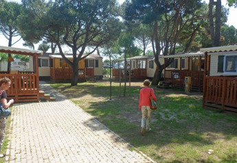Vista exterior de SunLodge Redwood en Camping Village Cavallino, Italia, con cabañas y huéspedes bajo los árboles.