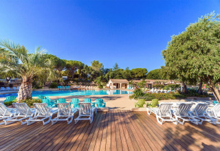 Zona de piscina de glamping al aire libre con tumbonas, palmeras y vegetación bajo un cielo azul despejado.