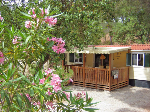 Agradable SunLodge Redwood en Camping Leï Suves, Francia, con terraza de madera y flores rosadas floreciendo.