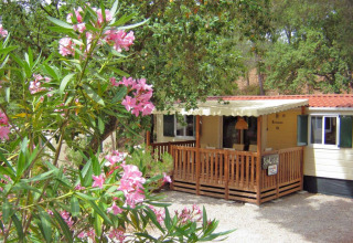 Jolie SunLodge Redwood au Camping Leï Suves en France, terrasse boisée et fleurs roses luxuriantes devant.