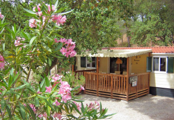 Accogliente SunLodge Redwood al Camping Leï Suves in Francia, veranda in legno e fiori rosa in primo piano.