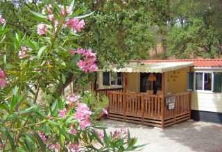 Agradable SunLodge Redwood en Camping Leï Suves, Francia, con terraza de madera y flores rosadas floreciendo.