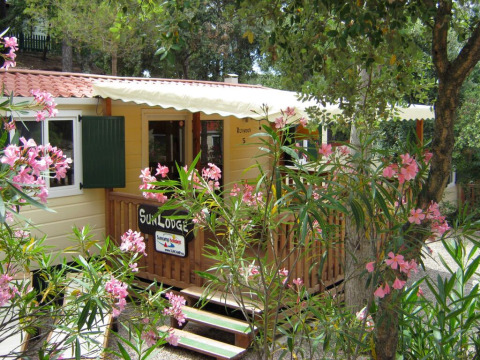 Acogedora cabaña SunLodge Redwood entre arbustos y flores rosas, perfecta para una escapada natural.
