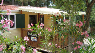Casetta SunLodge Redwood immersa tra piante verdi e fiori rosa, perfetta per una vacanza rilassante.