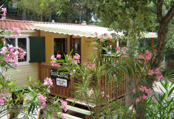 Casetta SunLodge Redwood immersa tra piante verdi e fiori rosa, perfetta per una vacanza rilassante.