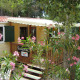 Acogedora cabaña SunLodge Redwood entre arbustos y flores rosas, perfecta para una escapada natural.