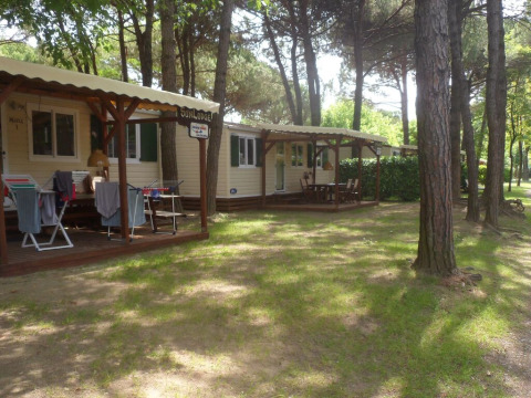 Buitenaanzicht van SunLodge Maple lodges op Camping Village Marina di Venezia, omringd door bomen.