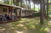 Outdoor photo of SunLodge Maple lodges at Camping Village Marina di Venezia in Italy, among tall trees.