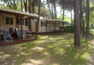 Buitenaanzicht van SunLodge Maple lodges op Camping Village Marina di Venezia, omringd door bomen.