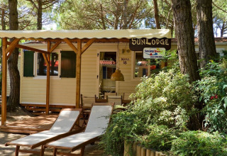 Zonnige SunLodge Maple lodge op Camping Village Marina di Venezia, Italië, met ligstoelen vooraan.