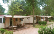 Rij SunLodge Aspen Combi chalets tussen bomen op Camping Union Lido Mare in Italië.