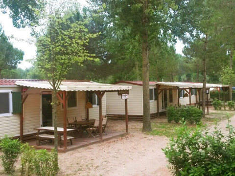 Rangée de cabanes SunLodge Aspen Combi entourées d’arbres au Camping Union Lido Mare en Italie.